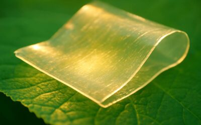 Greener plastics: polymers from renewable resources shaping a sustainable future.