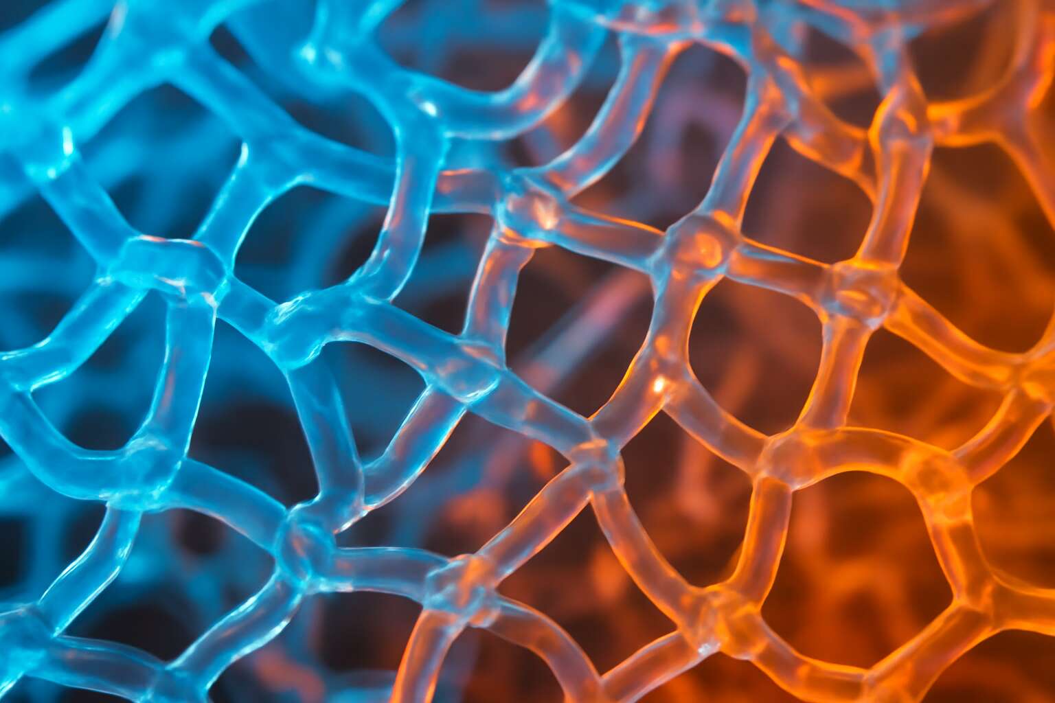 polymers ted ed